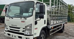 ISUZU CHỞ GIA CẦM NQR 550