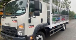ISUZU FSR700 8 TẤN DÀI 6,2M